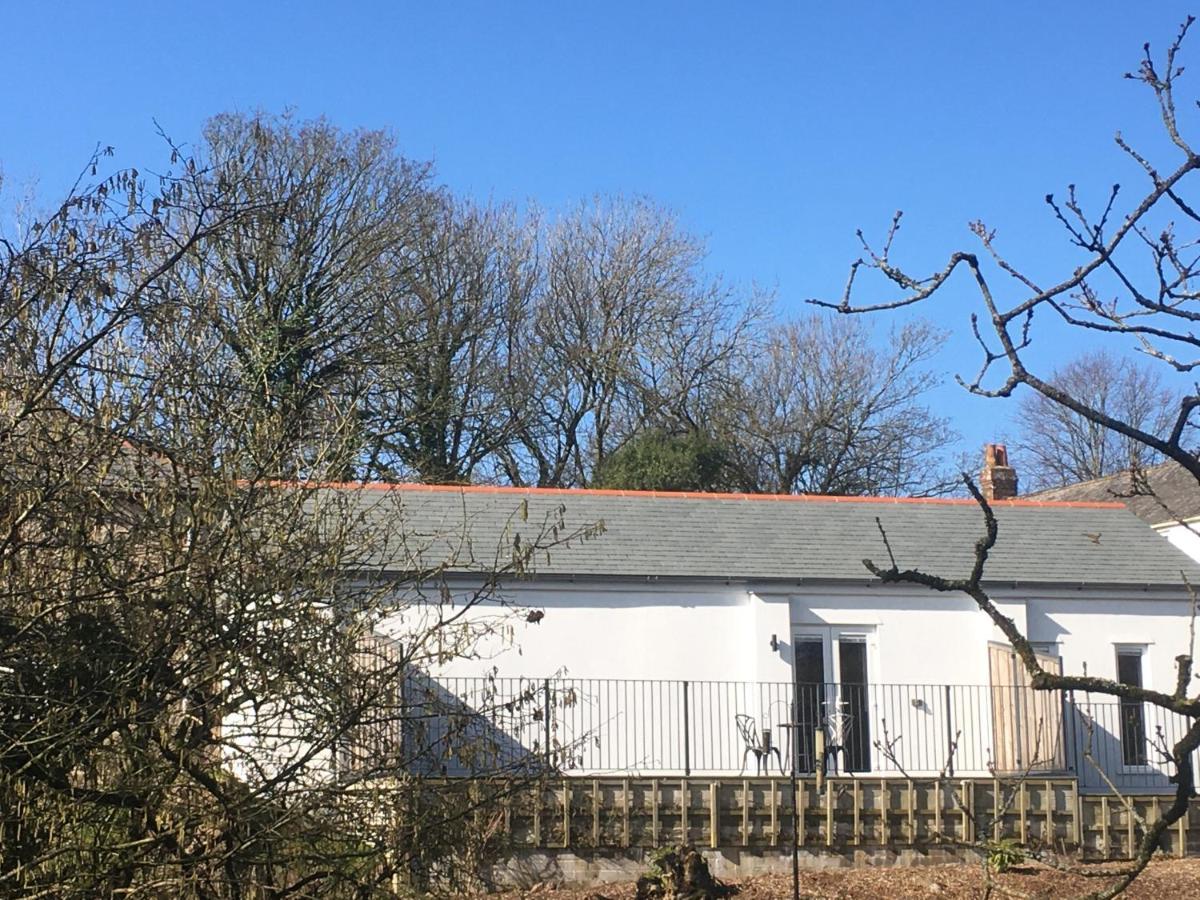 Trewethen Cottage Barn 2 Near بورت إيزاك المظهر الخارجي الصورة